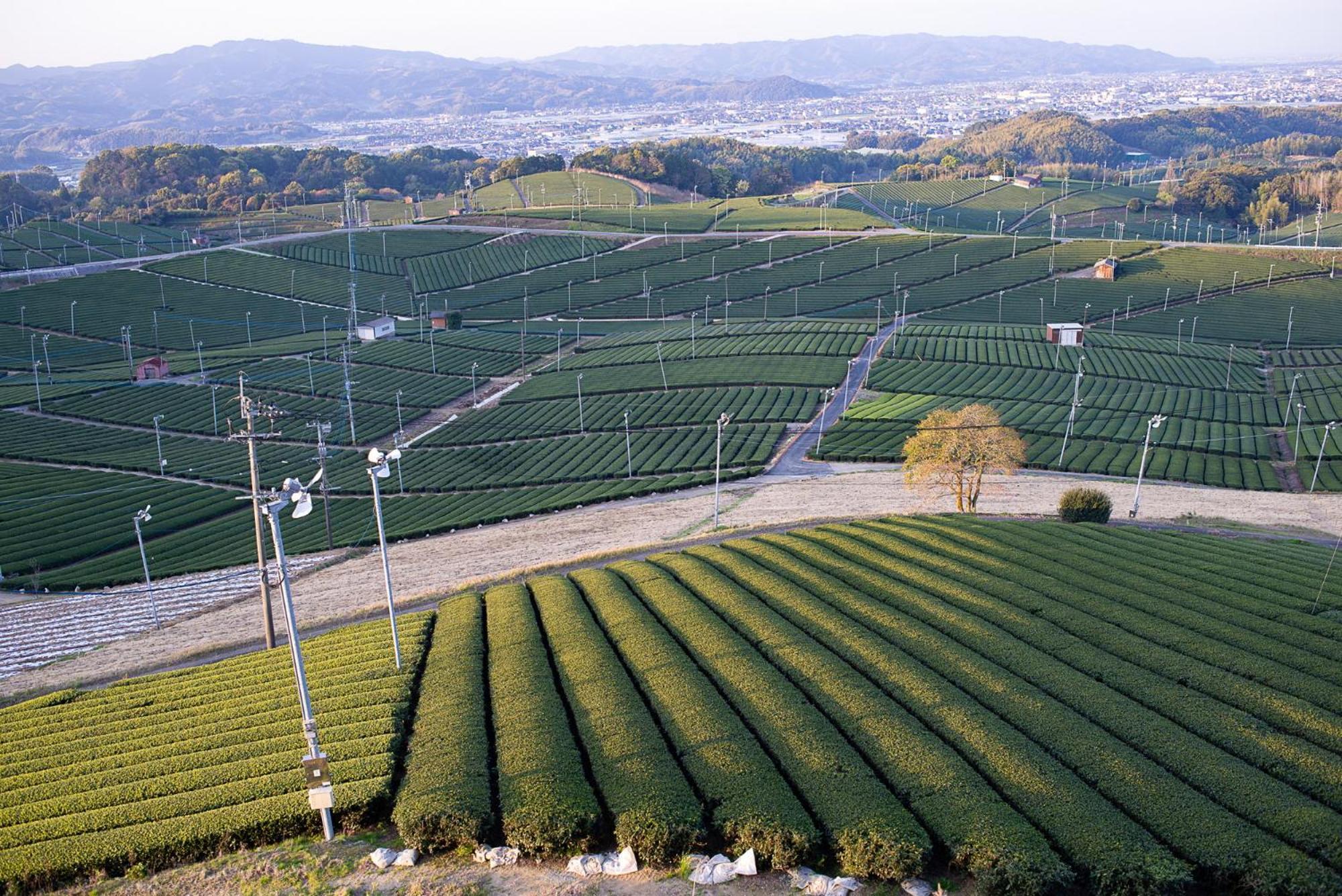 Nipponia Hotel Yamefukushima Merchant Town Tagawa Bagian luar foto